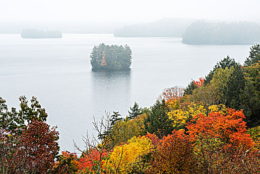 鲜艳,树,秋天,远景,模糊,岛屿,仙女,湖,亨茨维尔,安大略省,加拿大
