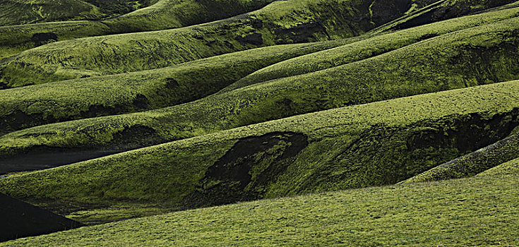 冰岛,苔藓,火山,斜坡,黑沙