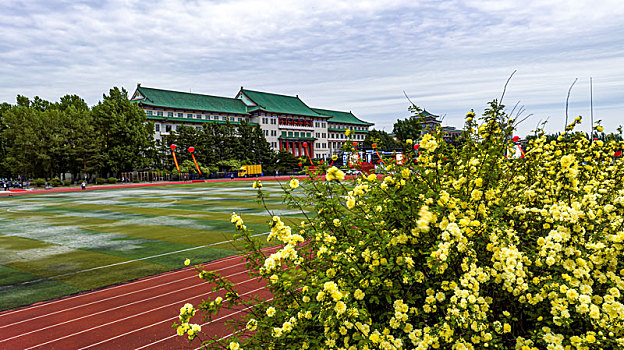 夏日的吉林大学校园景观