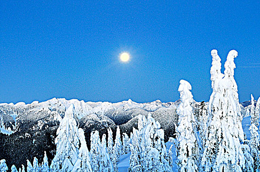 冬天,攀升,省立公园,北温哥华,不列颠哥伦比亚省