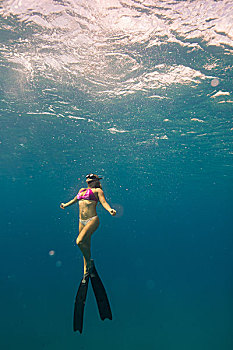 水下视角,女人,潜水,瓦胡岛,夏威夷,美国