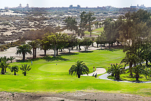 高尔夫球场,草原,背景,沙丘,大卡纳利岛,西班牙,欧洲