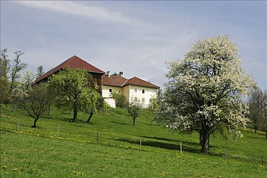农舍,下奥地利州
