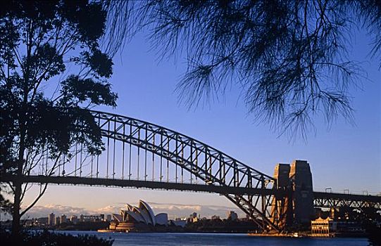 澳大利亚,新南威尔士,悉尼,悉尼歌剧院,衣架,桥,剧院,屋顶,船,满,航行,设计,著名,丹麦,建筑师,约翰-伍重,世界遗产,坐