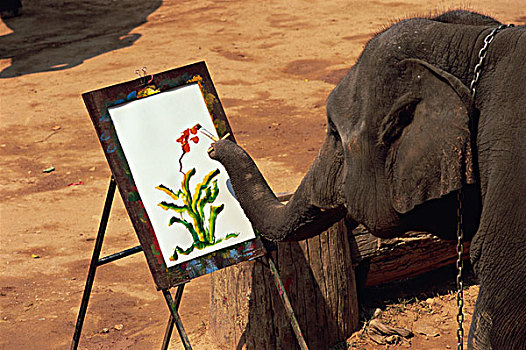 泰国,清迈,大象,绘画