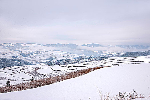 云南东川红土地雪原