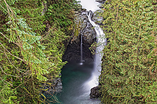 瀑布,吊桥,峡谷,北温哥华,不列颠哥伦比亚省,加拿大