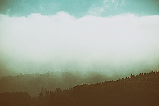 云,带,雾,脊,山脉