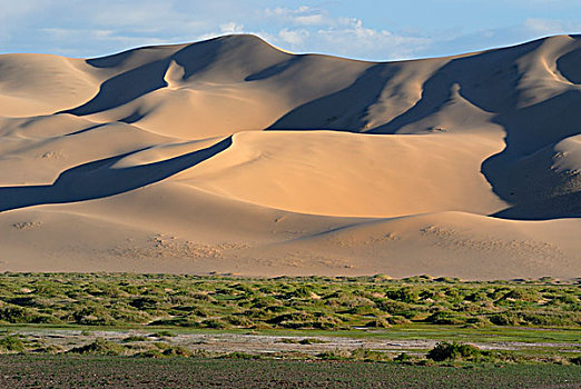 茂密,绿色,草,风景,正面,大,沙子,沙丘,戈壁,沙漠,国家,公园,蒙古,亚洲