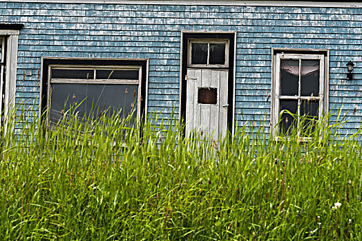 草,正面,房子,新斯科舍省,加拿大