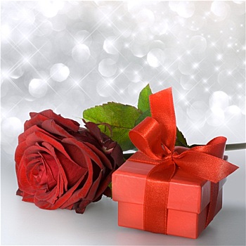 红玫瑰,红色,礼品包装