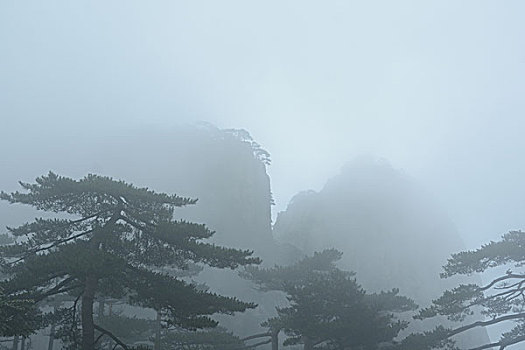 烟雨黄山