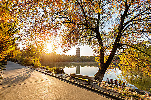 北京大学