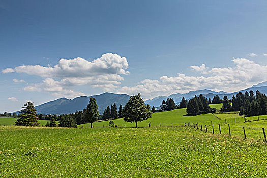 风景,乌伯阿玛高,阿尔卑斯山,背影,靠近,巴伐利亚,德国,欧洲