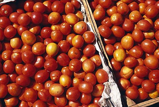 盒子,西红柿,市场,尤卡坦半岛
