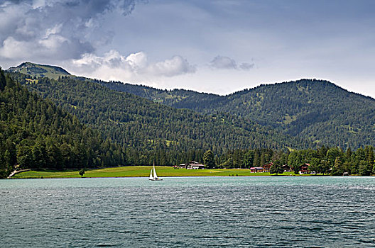自然风光,湖岸,靠近,阿亨湖地区,奥地利,暗色,雷雨天气