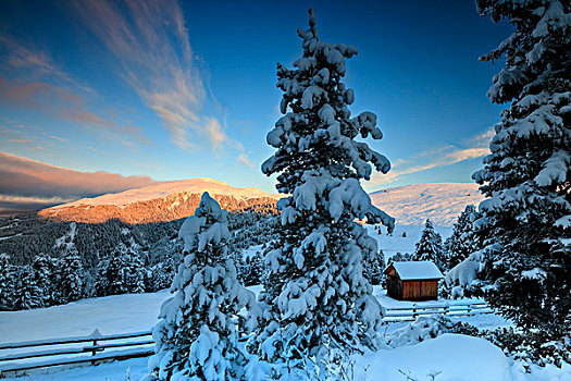 日出,向上,雪,木头,小屋,山谷,南蒂罗尔,意大利,欧洲