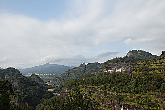 武夷山植被