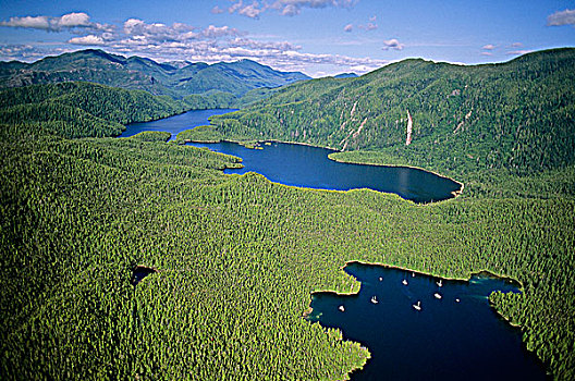 泻湖,小,海洋,省立公园,国王岛,声音,不列颠哥伦比亚省,加拿大