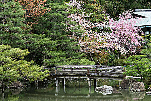 花园,平安神宫,京都,日本