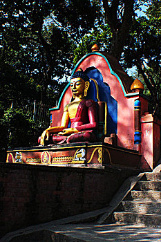 猴庙尼泊尔大佛释迦牟尼