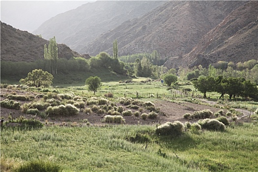 新疆哈密,东天山河谷草原