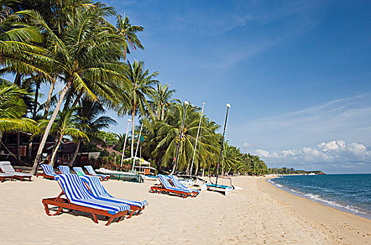 折叠躺椅,海滩,棕榈树,苏梅岛,泰国,亚洲