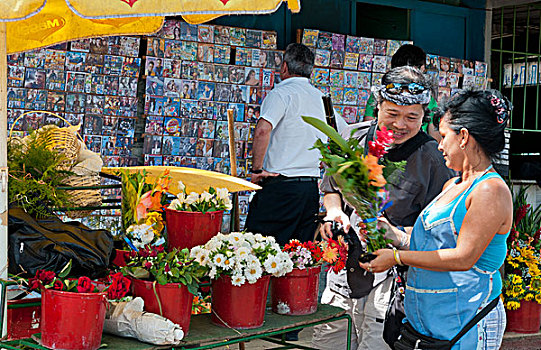 旅游,买,花,摊贩,哈瓦那,古巴