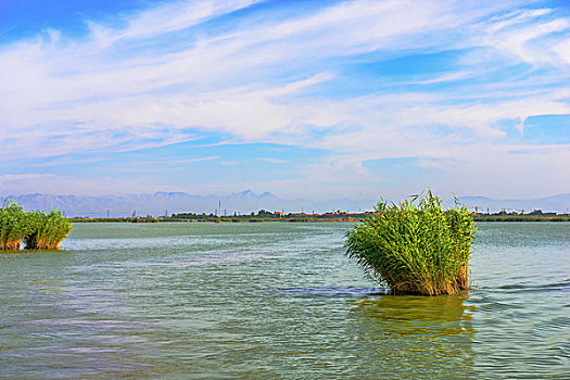 宁夏回族自治区,沙湖景观