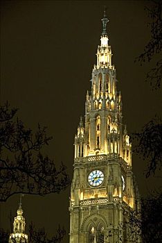 市政厅,塔,夜晚,维也纳,奥地利,欧洲