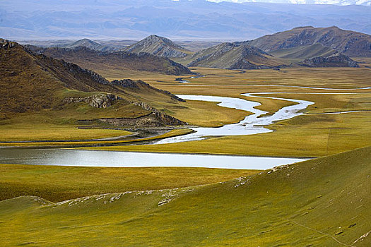 新疆巴音布鲁克自然保护区
