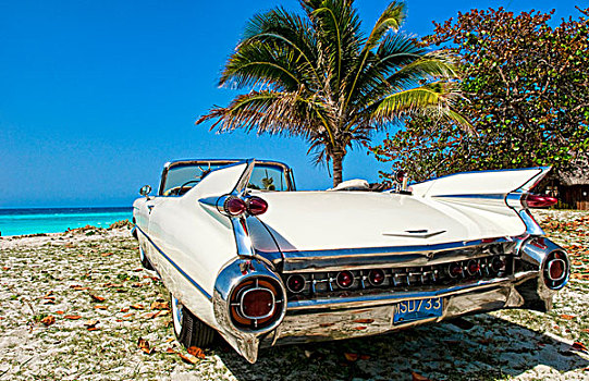 经典,白色,卡迪拉克,汽车,漂亮,海滩,古巴