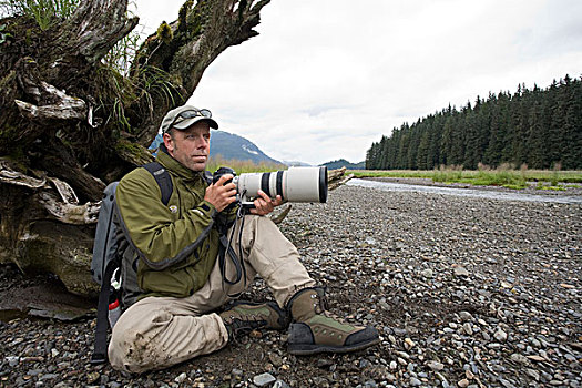 美国,阿拉斯加,摄影师,等待,棕熊,横财,溪流