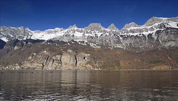 湖,山峦,瑞士,欧洲