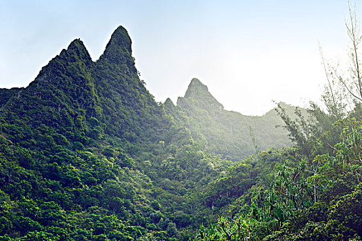 巴利,海岸,州立公园,夏威夷