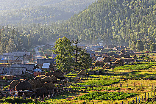 新疆喀纳斯景区白哈巴村风景