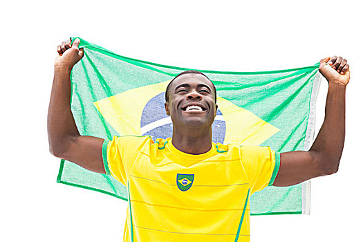 高兴,巴西人,球迷,欢呼,拿着,旗帜