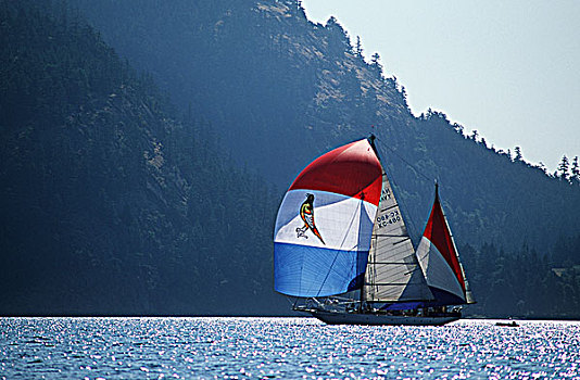 娱乐,航行,靠近,黄鹂,训练,帆船,温哥华岛,不列颠哥伦比亚省,加拿大