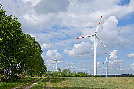 风电站,下萨克森,德国,欧洲
