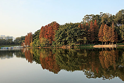 广州,麓湖公园