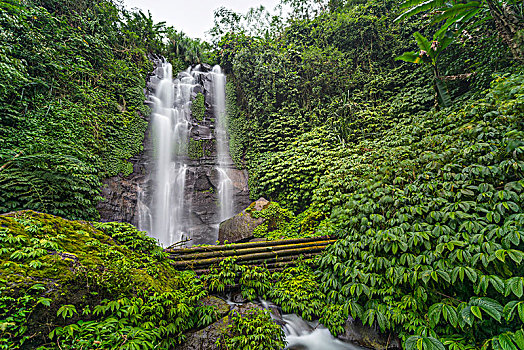 瀑布,丛林,巴厘岛,印度尼西亚,亚洲