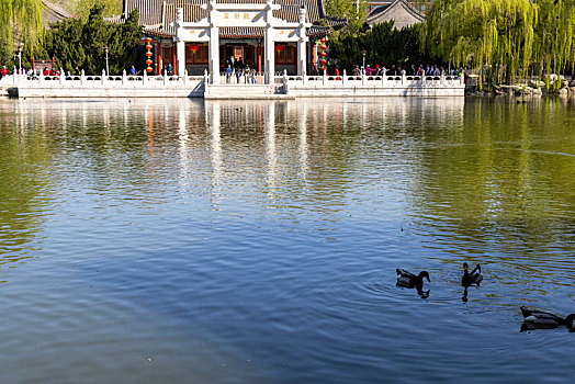 北京市,大观园景区