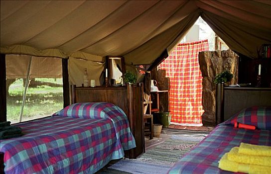 露营,客人,帐蓬,北方,肯尼亚