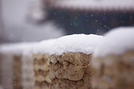 故宫飘雪