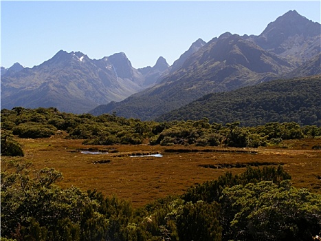 路,米尔福德峡湾