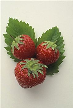 三个,草莓,草莓叶