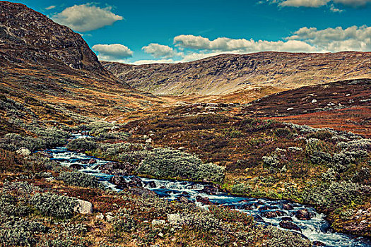 挪威,高,山景,河,秋天,风格,彩色