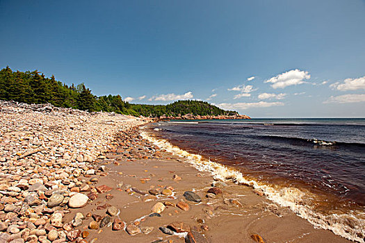 黑色,溪流,海滩,新斯科舍省,加拿大