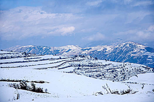 云南东川红土地雪原