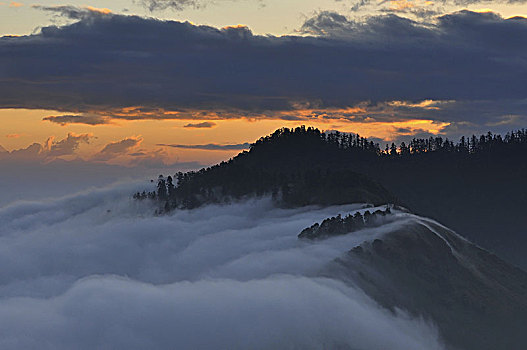 日出,风景,山,山丘,喜马拉雅山,尼泊尔